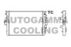 AUTOGAMMA 403346 Radiator, engine cooling